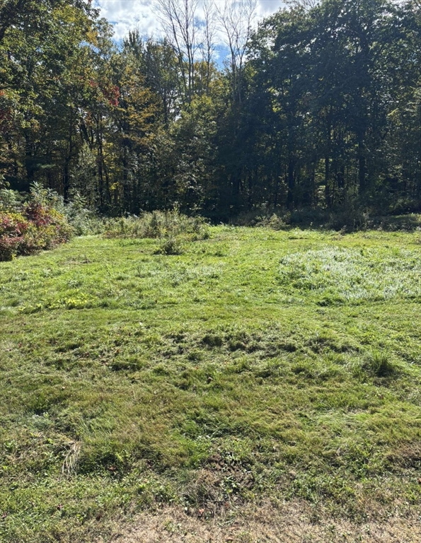 161 Delargy Road Hardwick, MA 01037 - Photo 2 of 13