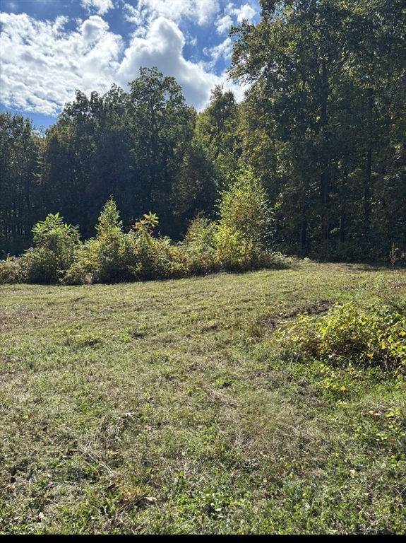 161 Delargy Road Hardwick, MA 01037 - Photo 3 of 13