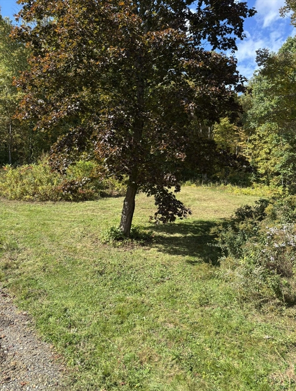 161 Delargy Road Hardwick, MA 01037 - Photo 7 of 13