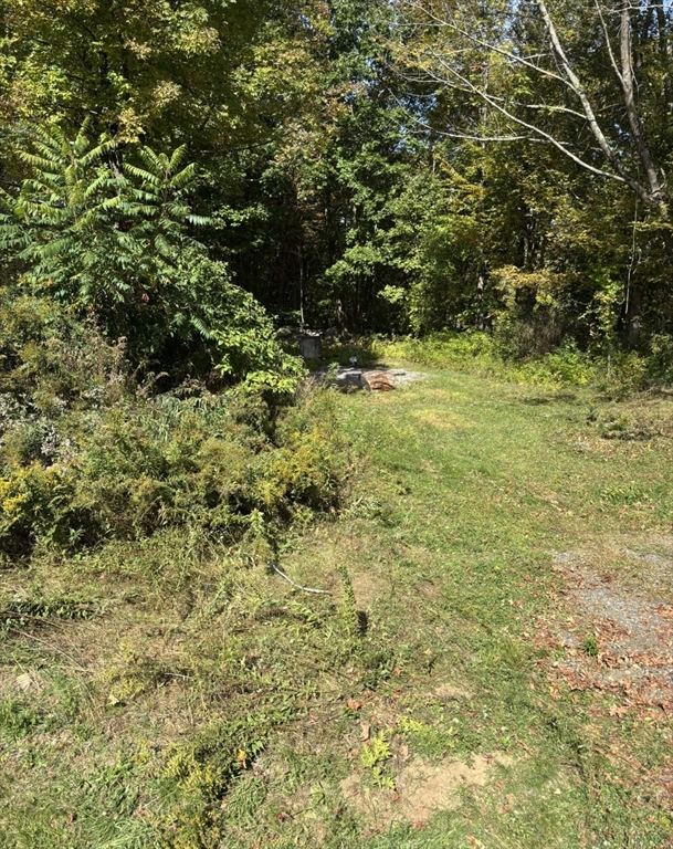 161 Delargy Road Hardwick, MA 01037 - Photo 8 of 13