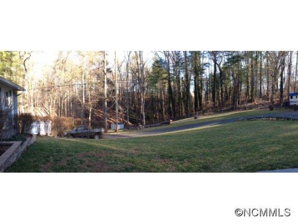 320 Pritchard Road Candler, NC 28715 - Photo 2 of 22 Gallery Image 2