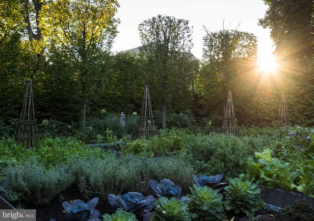 a view of house with garden space and swimming pool