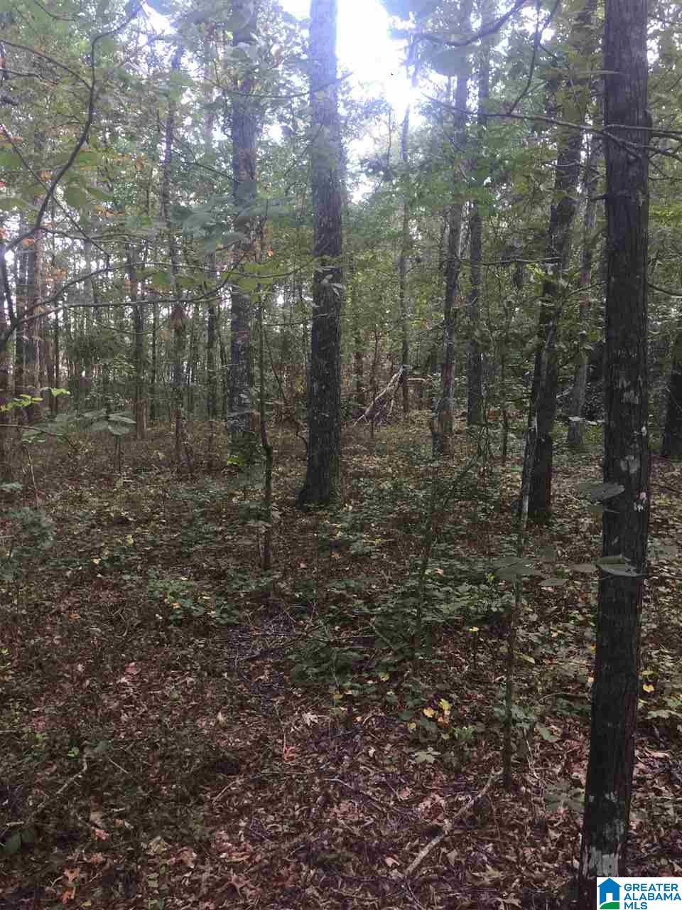 241 Sulphur Springs Road, Unit 9 89 ACRES Lincoln, AL 35096 - Photo 7 of 44