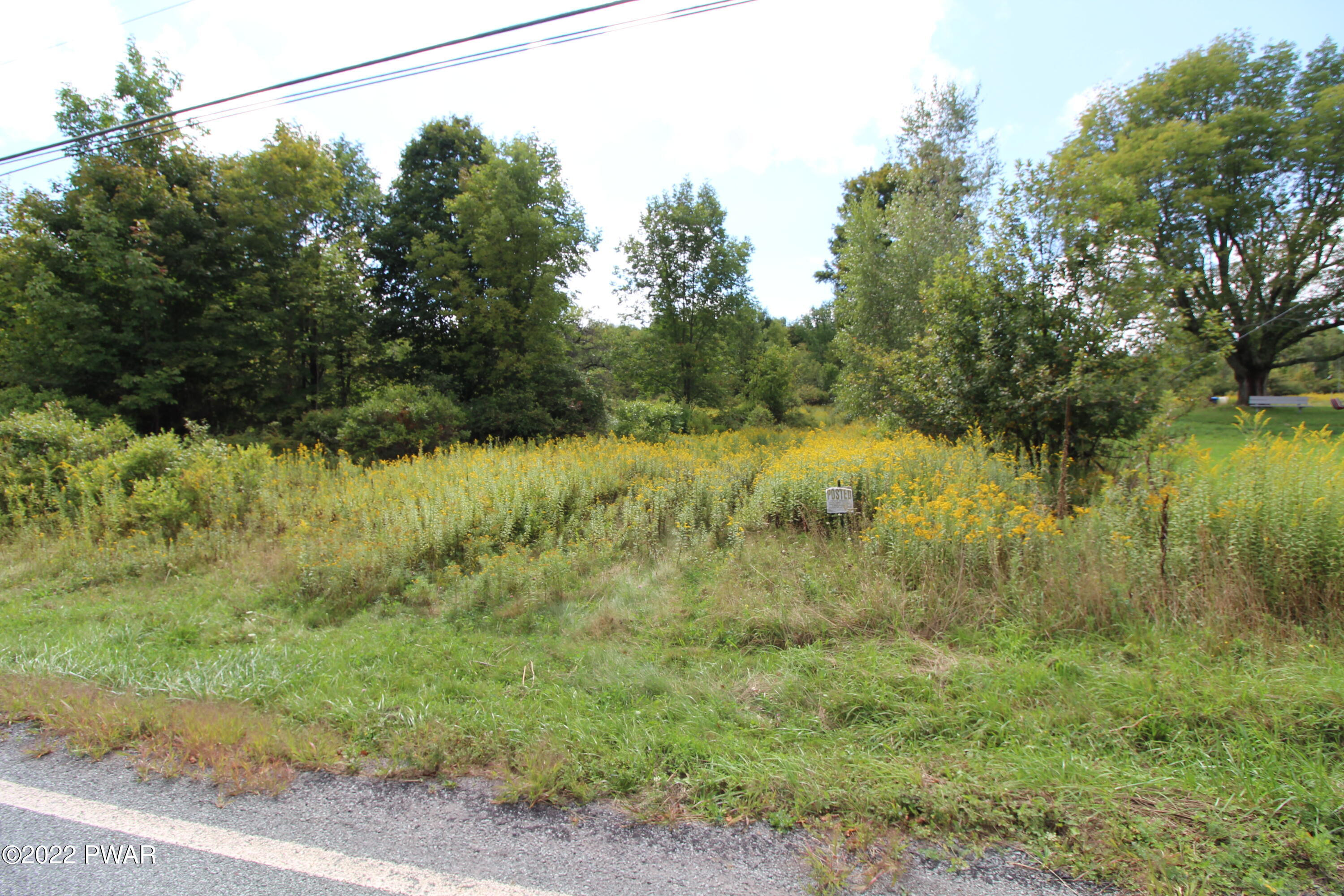South Turnpike Road Newfoundland, PA 18445 - Photo 3 of 13