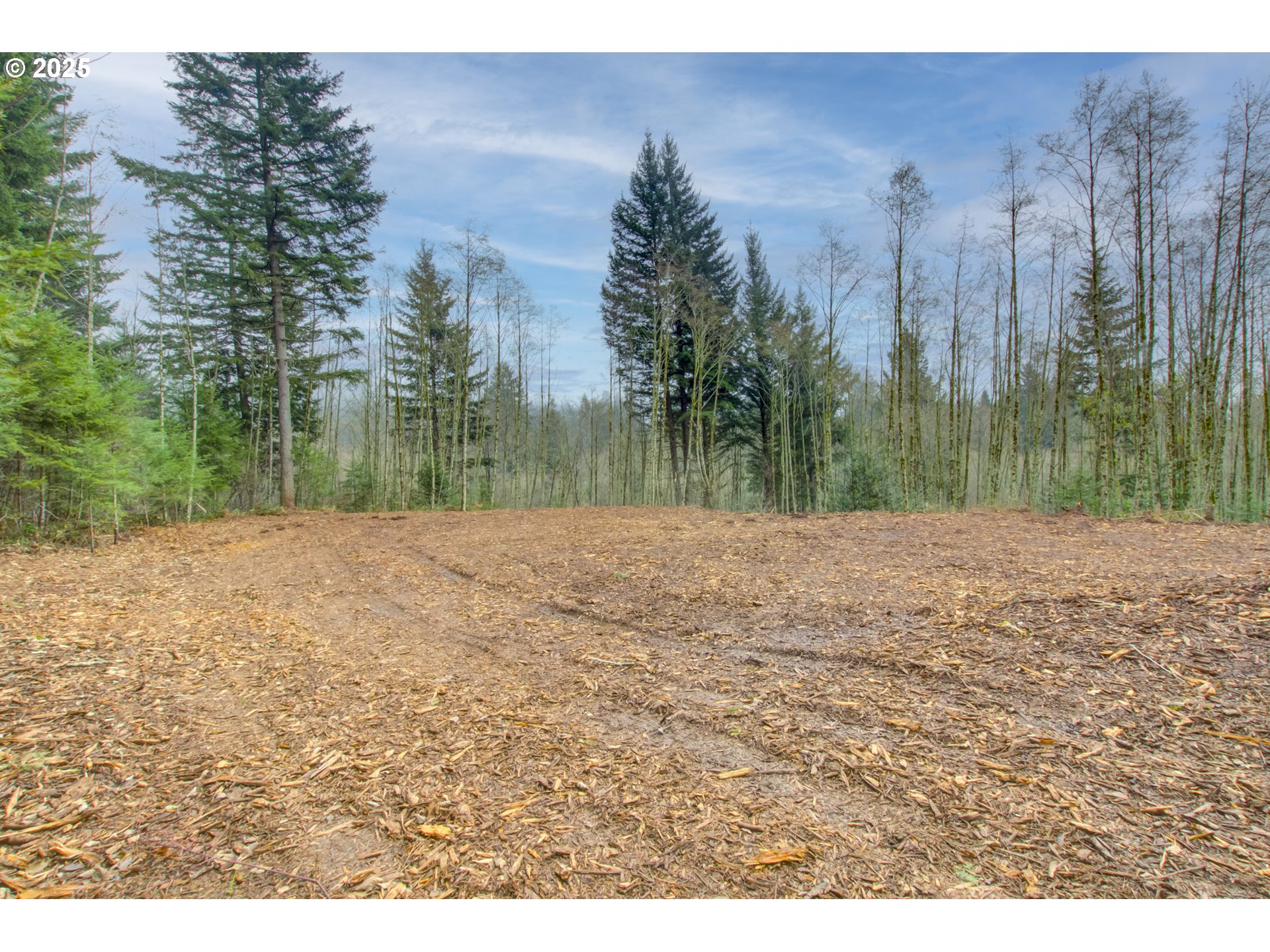 Northeast Hancock Road Camas, WA 98607 - Photo 8 of 9 Gallery Image 8