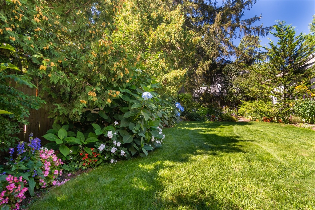 160 Abbott Street Springfield, MA 01118 - Photo 29 of 34 a view of a tree with a yard