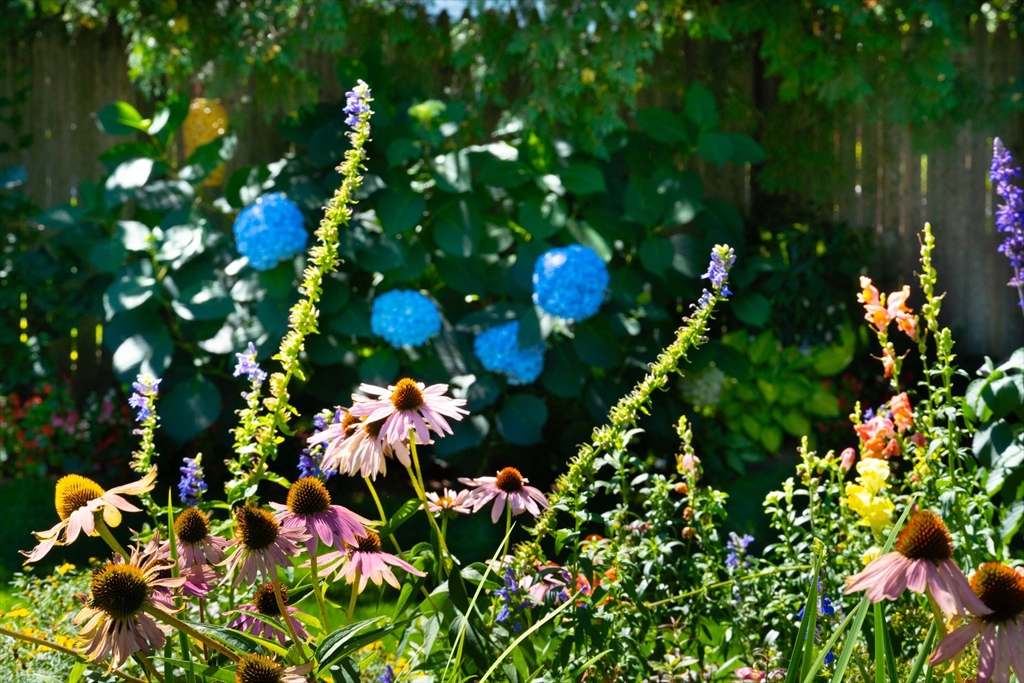 160 Abbott Street Springfield, MA 01118 - Photo 33 of 34 a view of flowers