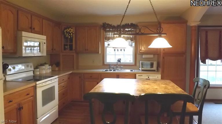 41265 Ravines Edge Way Lagrange, OH 44050 - Photo 4 of 25