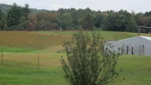 1203 Georgia Firetower Road Mitchell, IN 47446 - Photo 13 of 14 Gallery Image 13