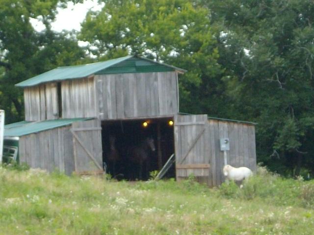 260 Hog Hollow Road Bethpage, TN 37022 - Photo 11 of 20 Gallery Image 11