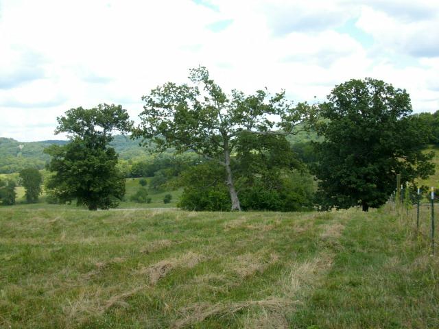 260 Hog Hollow Road Bethpage, TN 37022 - Photo 12 of 20 Gallery Image 12