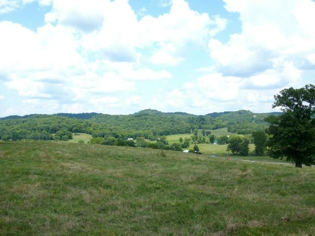 260 Hog Hollow Road Bethpage, TN 37022 - Photo 13 of 20 Gallery Image 13