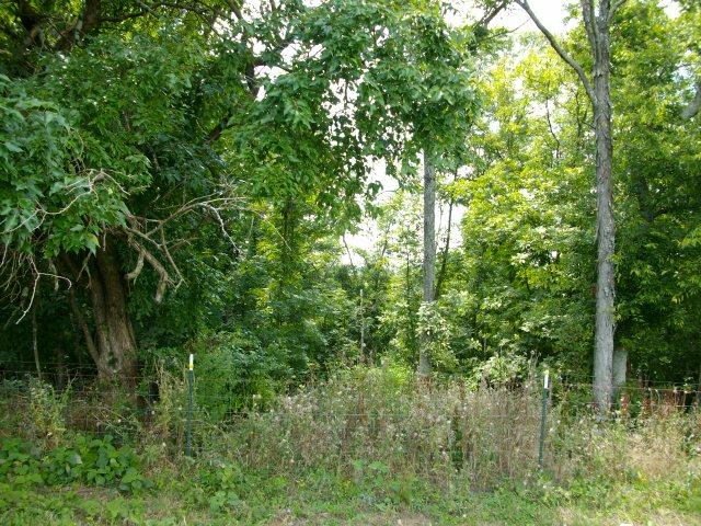 260 Hog Hollow Road Bethpage, TN 37022 - Photo 14 of 20 Gallery Image 14