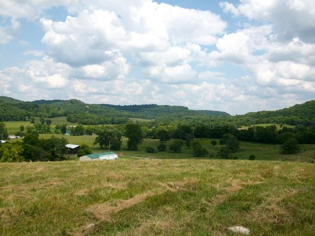 260 Hog Hollow Road Bethpage, TN 37022 - Photo 15 of 20 Gallery Image 15