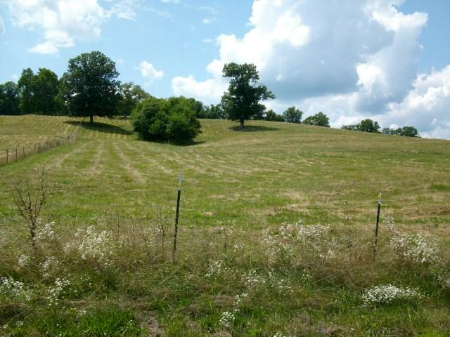260 Hog Hollow Road Bethpage, TN 37022 - Photo 18 of 20 Gallery Image 18
