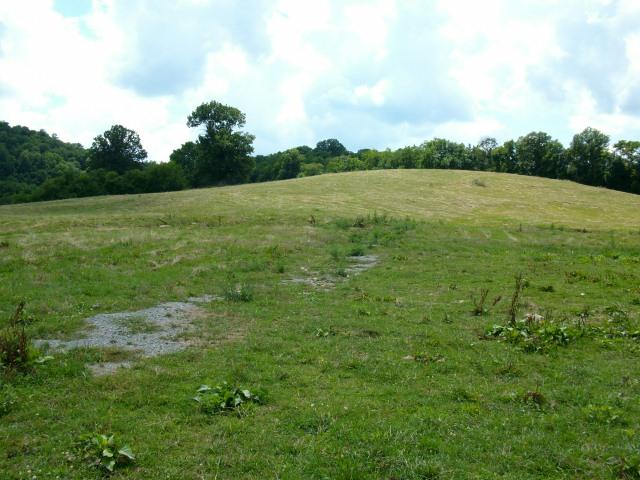 260 Hog Hollow Road Bethpage, TN 37022 - Photo 8 of 20 Gallery Image 8