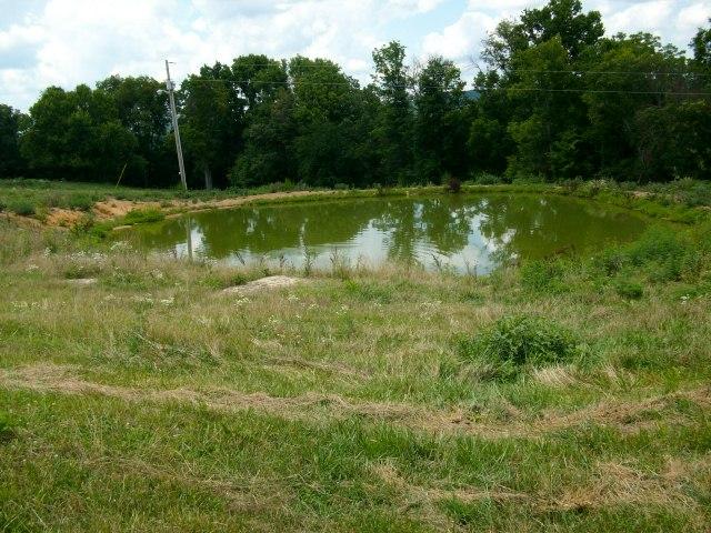 260 Hog Hollow Road Bethpage, TN 37022 - Photo 9 of 20 Gallery Image 9
