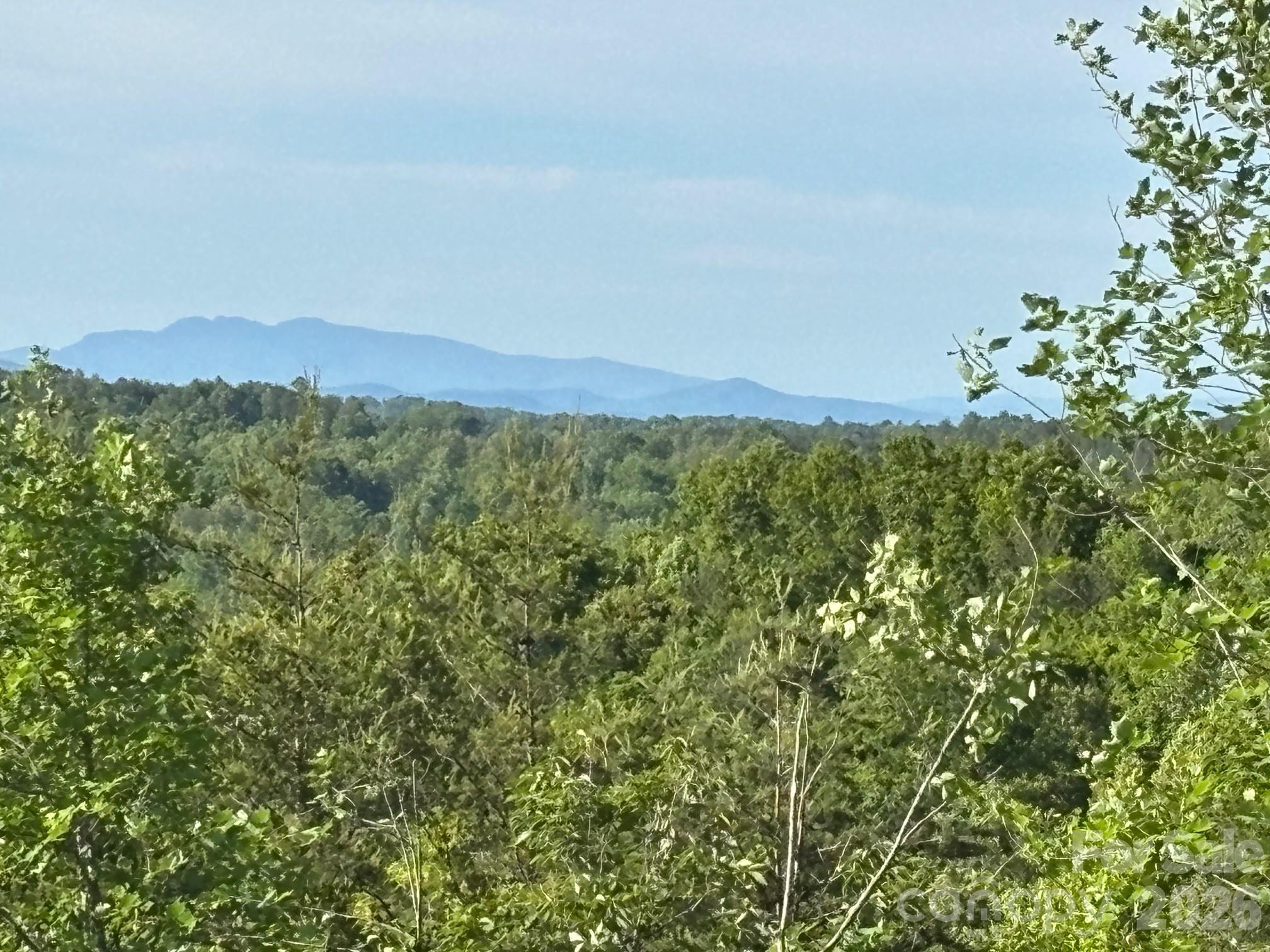 Tbd Vein Mountain Road, Unit 6 Nebo, NC 28761 - Photo 2 of 15