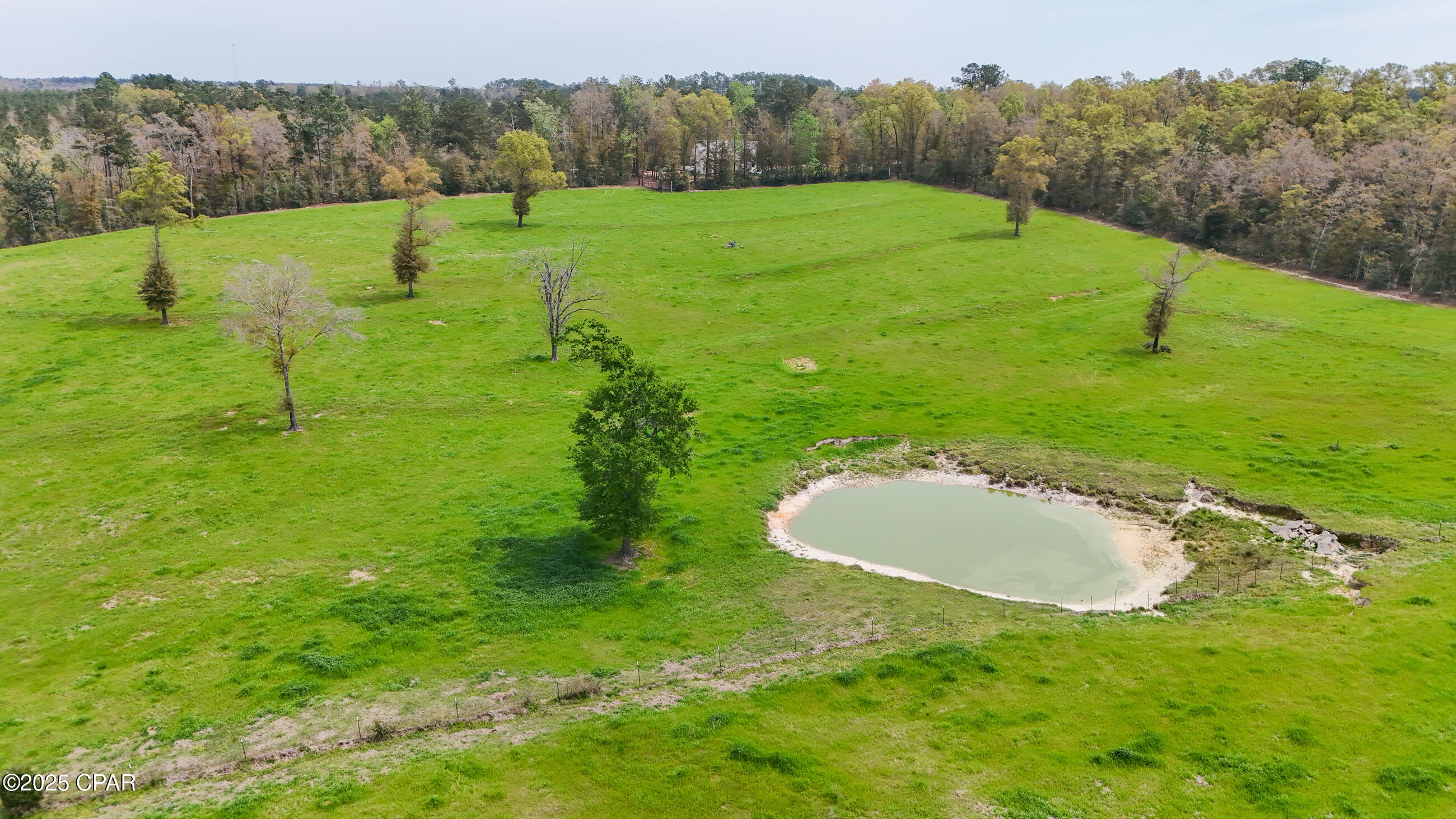 0 Posey Acres Road Chipley, FL 32428 - Photo 7 of 47