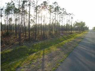 Lot 8 Don Graff Road Freeport, FL 32439 - Photo 1 of 5 a view of backyard with green space