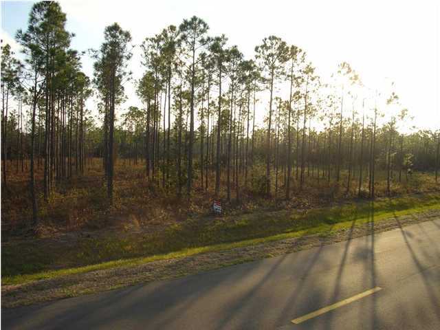 Lot 8 Don Graff Road Freeport, FL 32439 - Photo 2 of 5 a view of a backyard