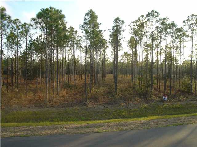 Lot 8 Don Graff Road Freeport, FL 32439 - Photo 3 of 5 a view of a yard with large trees