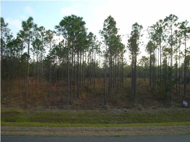 Lot 8 Don Graff Road Freeport, FL 32439 - Photo 4 of 5 a view of a yard