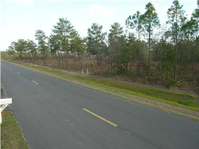 Lot 8 Don Graff Road Freeport, FL 32439 - Photo 5 of 5 a view of a swimming pool with a yard and large trees