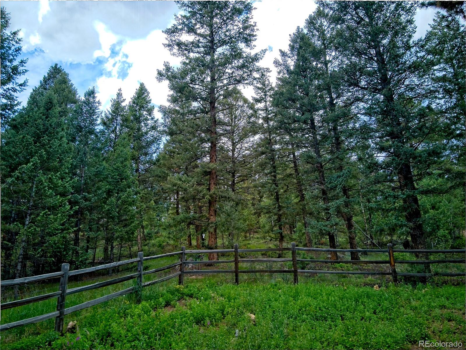 33775 Lutes Road Pine, CO 80470 - Photo 6 of 21 Gallery Image 6