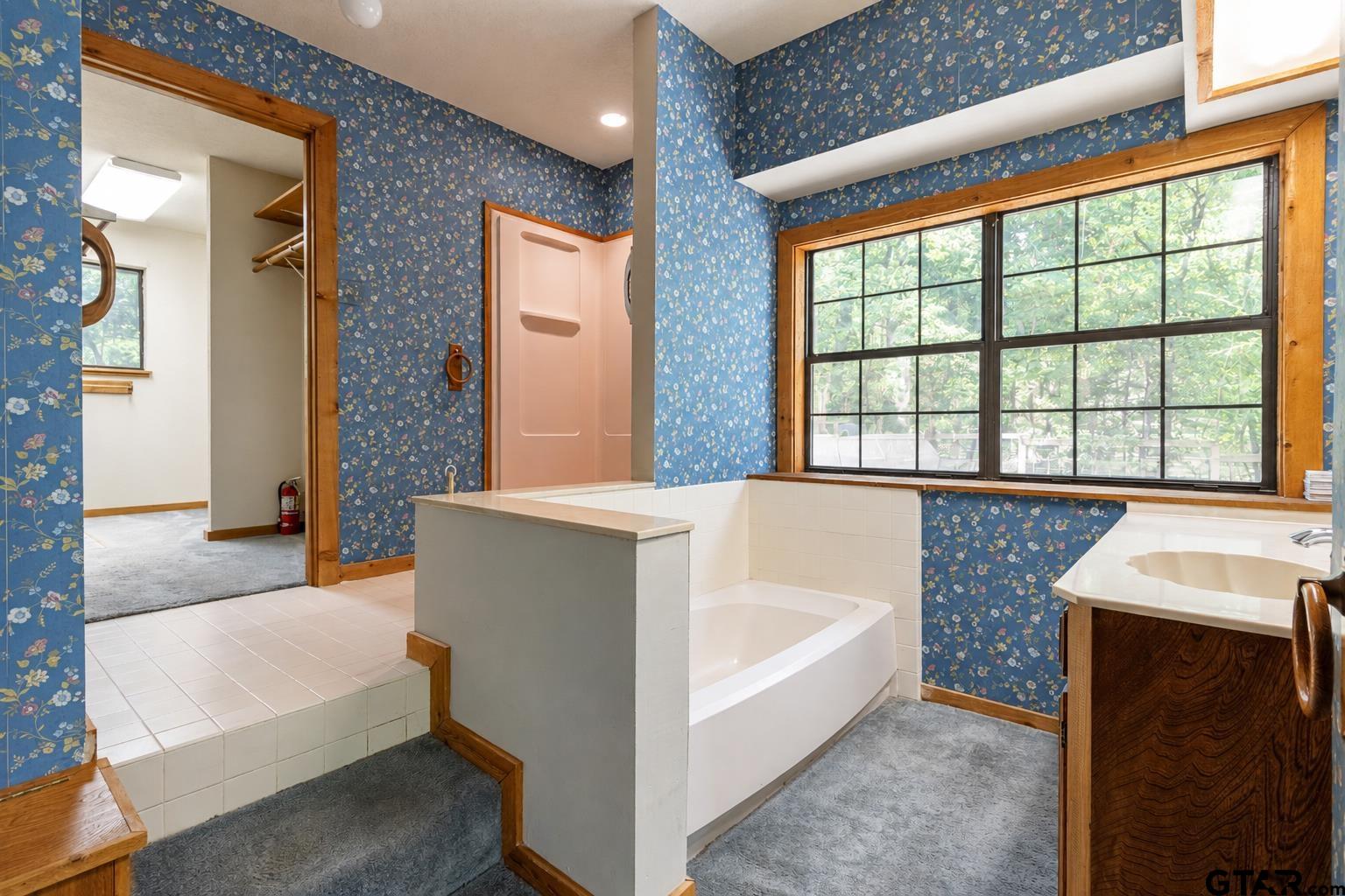 11157 Hamrick Lake Road Winona, TX 75792 - Photo 31 of 48 Garden tub