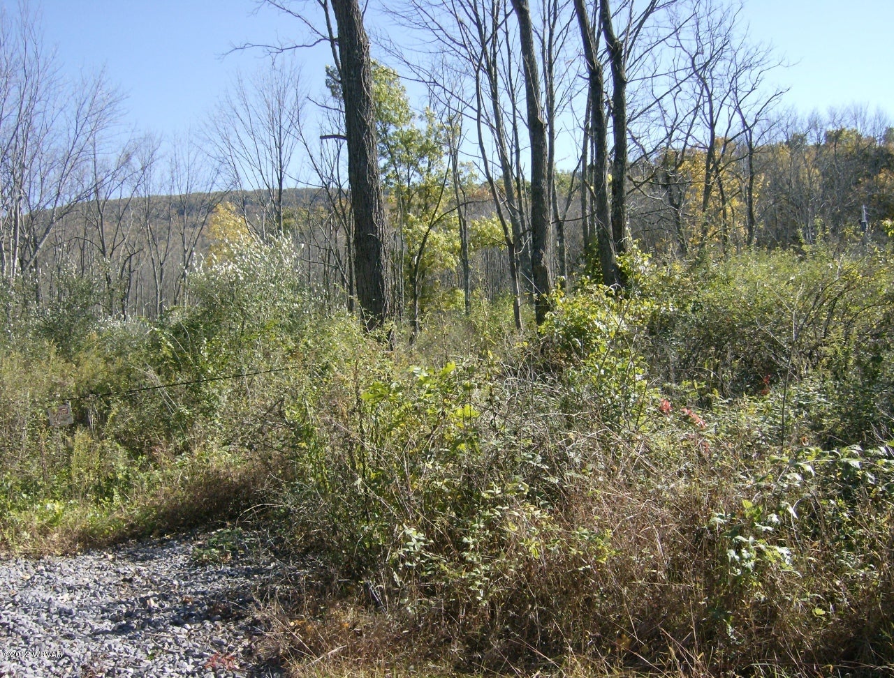 0 East End Mountain Road Mill Hall, PA 17751 - Photo 5 of 8 Land2