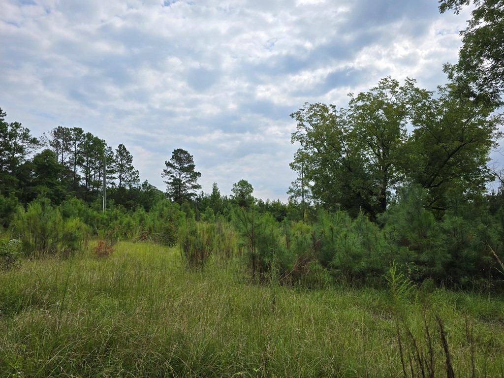 459 Central School Road Rembert, SC 29128 - Photo 2 of 3