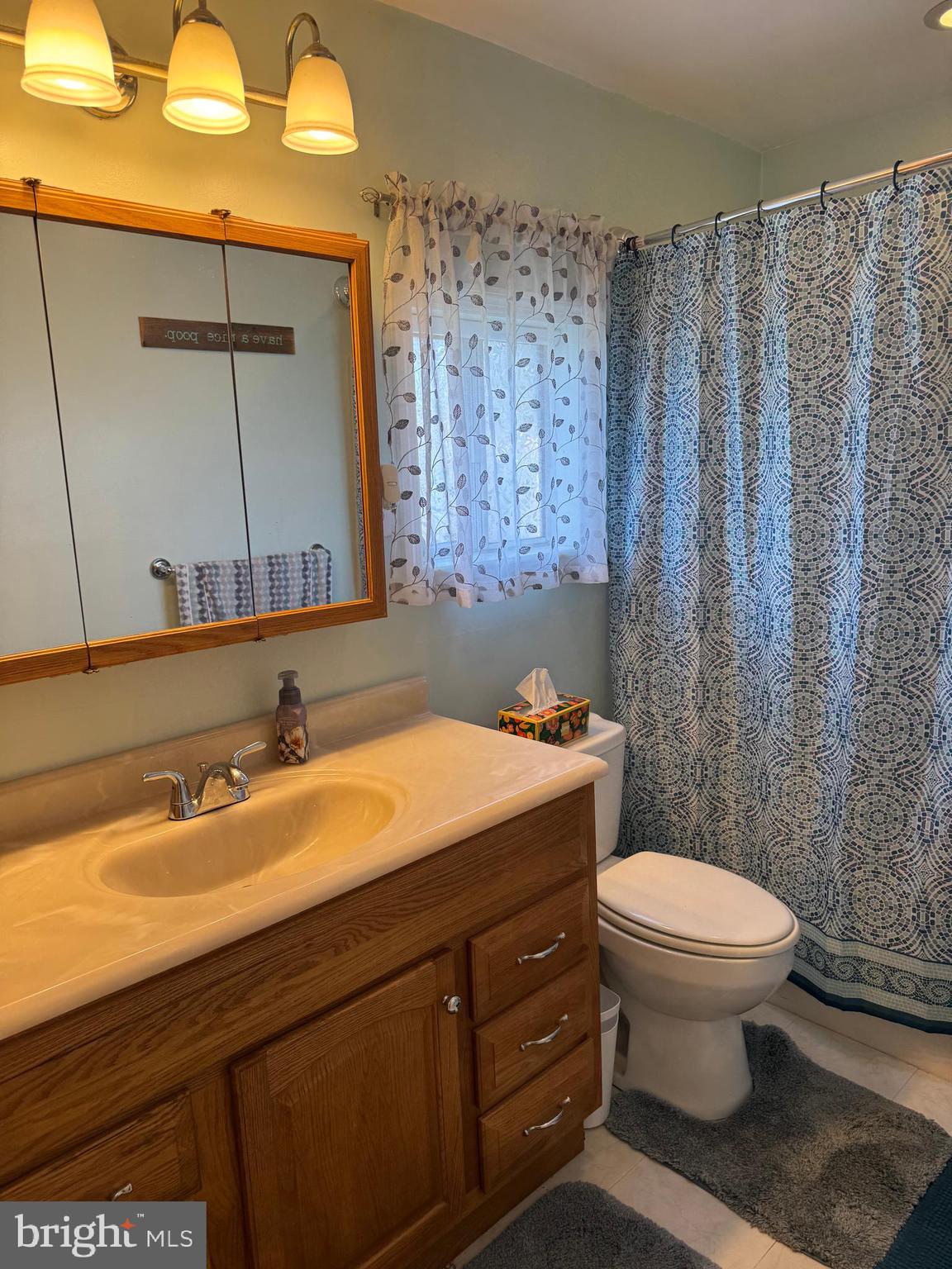 25 West Dory Drive Little Egg Harbor, NJ 08087 - Photo 11 of 56 a bathroom with a sink a toilet and shower