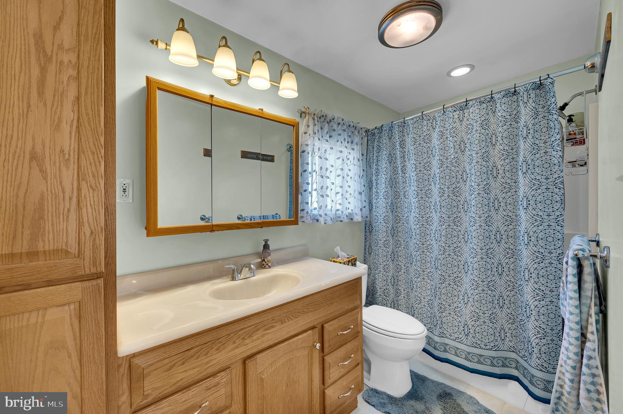 25 West Dory Drive Little Egg Harbor, NJ 08087 - Photo 28 of 56 a bathroom with a toilet a sink and mirror