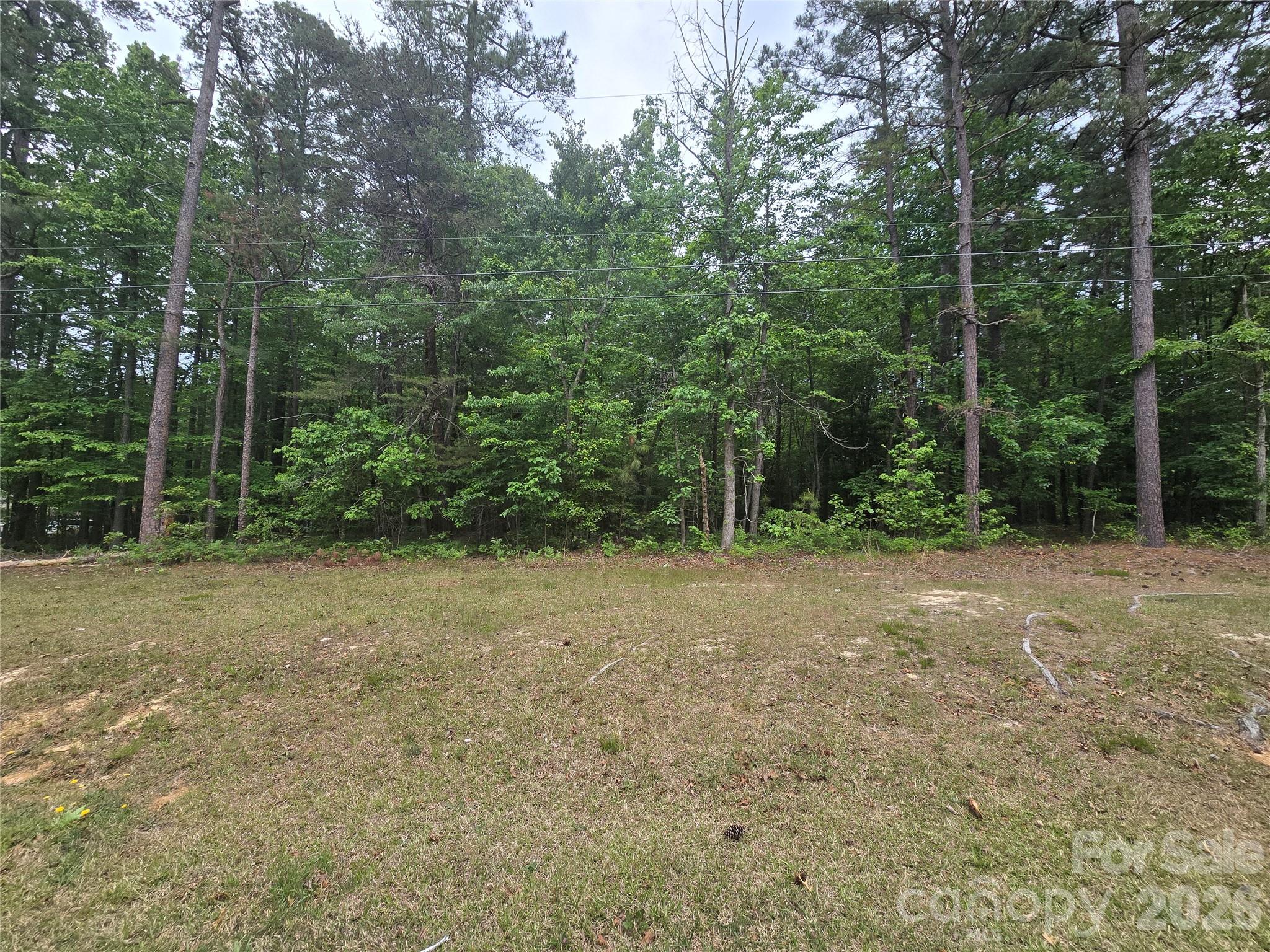 Tbd Troy Candor Road Troy, NC 27371 - Photo 1 of 2