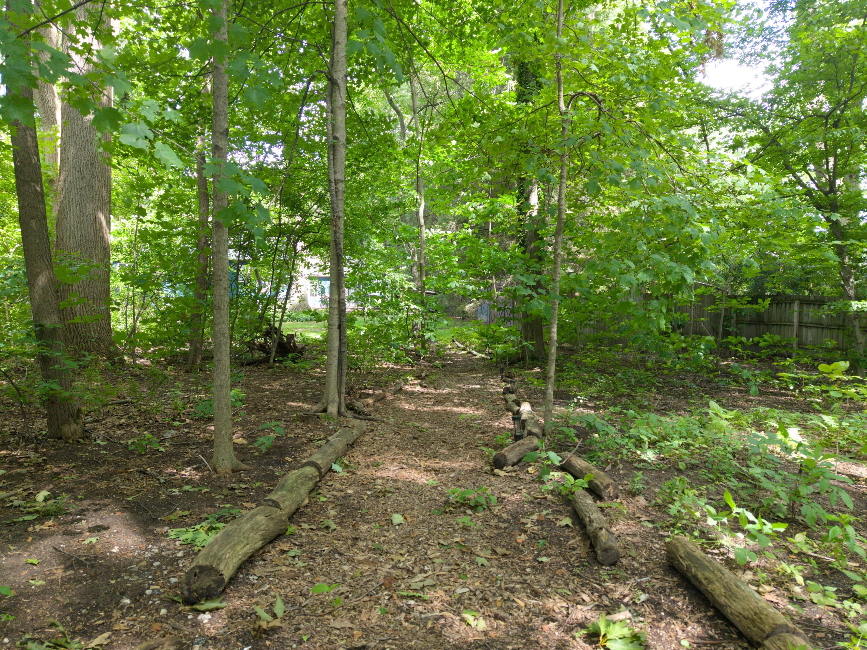 14507 Lakeshore Road Lakeside, MI 49116 - Photo 36 of 36 04-Backyard