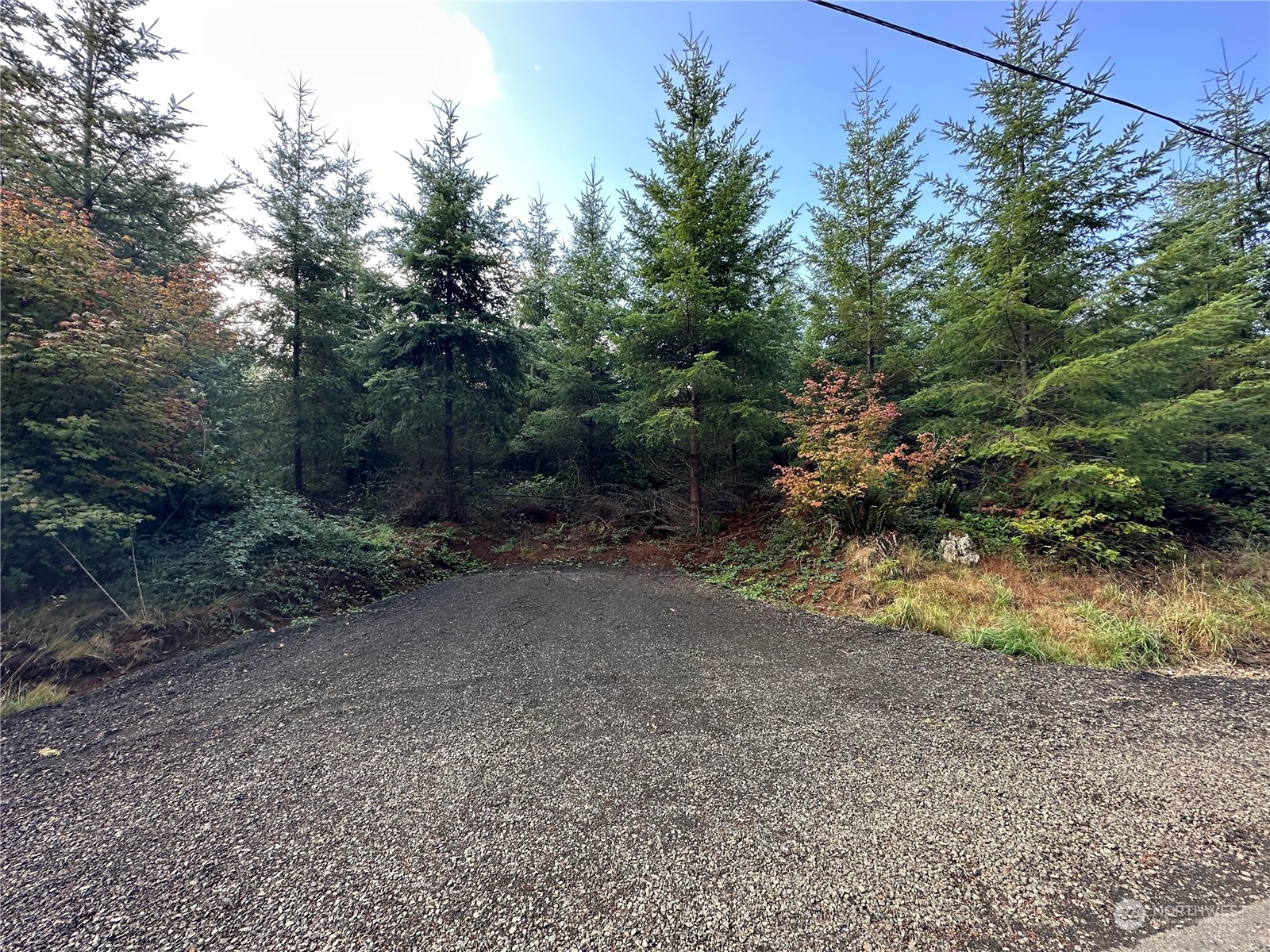 51 Foreman Road McCleary, WA 98557 - Photo 3 of 11 Gallery Image 3