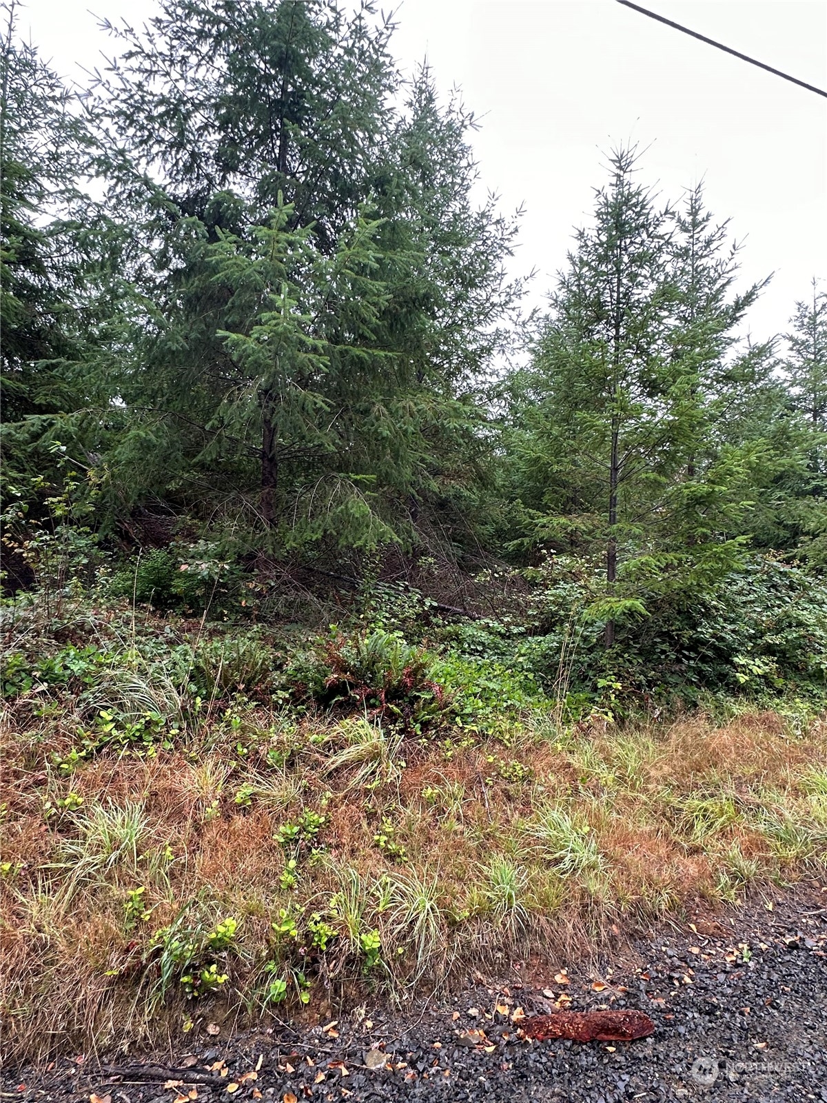 51 Foreman Road McCleary, WA 98557 - Photo 7 of 11 Gallery Image 7