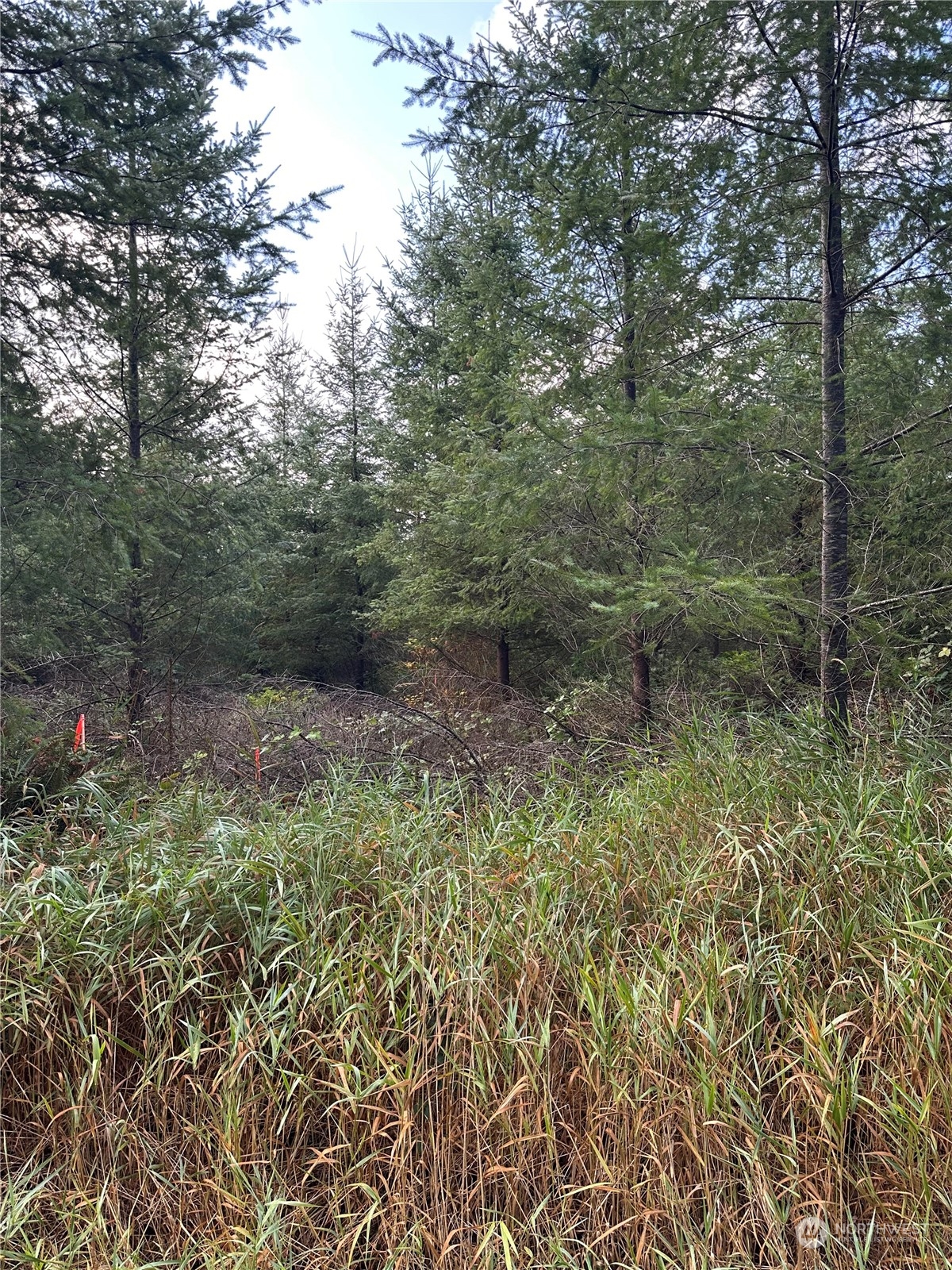 51 Foreman Road McCleary, WA 98557 - Photo 10 of 11 Gallery Image 10