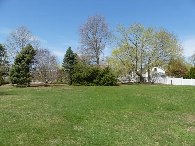 a view of grassy field with trees