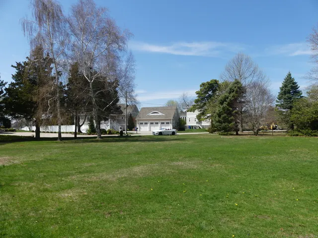 a view of a park with large trees