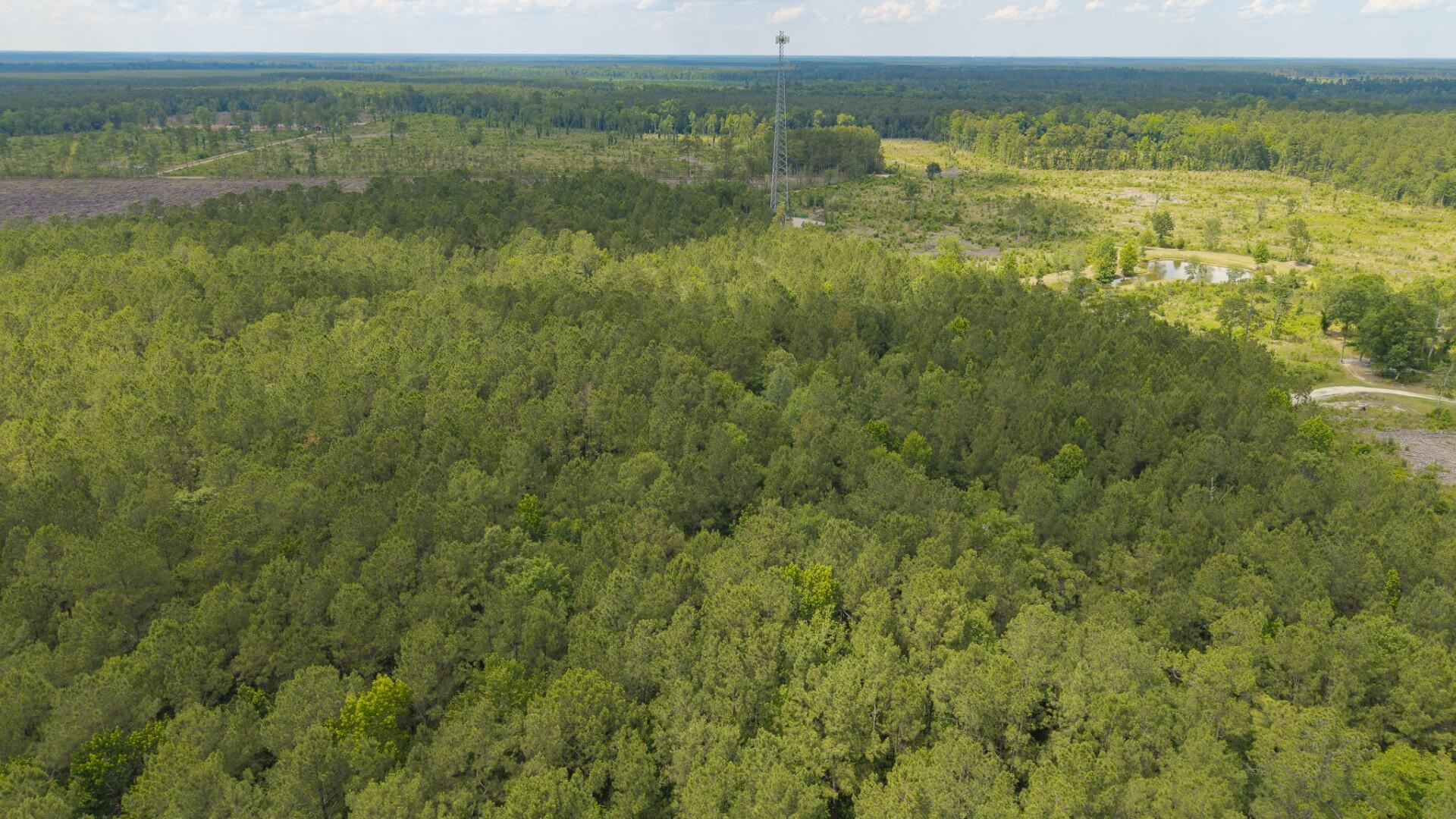 6222 Saints Delight Road, Unit LOT 8 Georgetown, SC 29440 - Photo 20 of 26