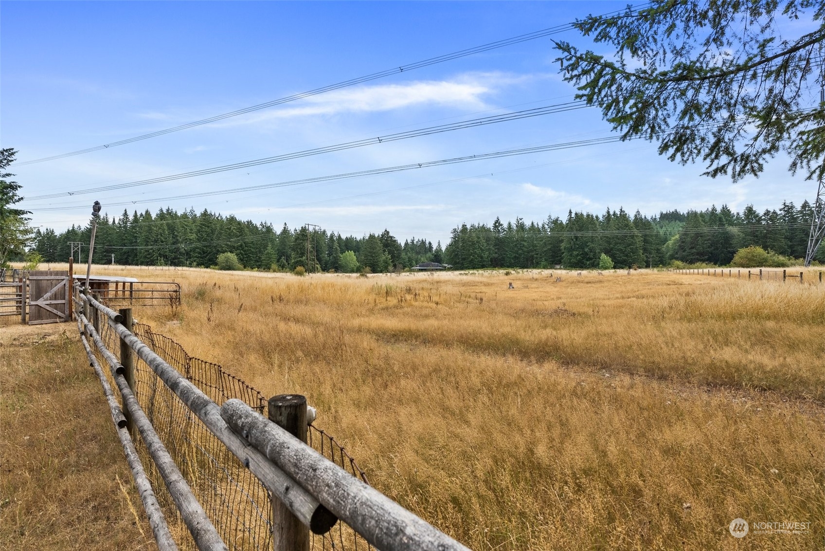 13434 Marcon Lane Southwest Rochester, WA 98579 - Photo 26 of 38 a view of a field with trees in the background