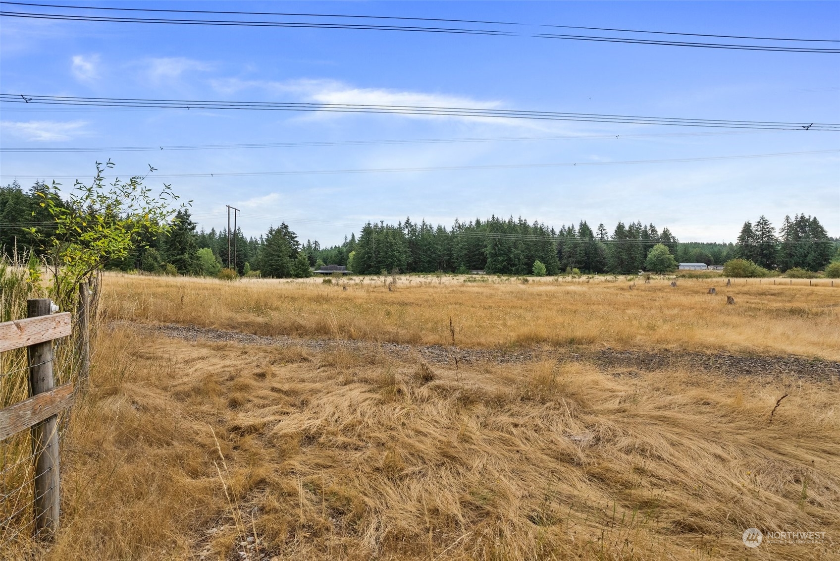 13434 Marcon Lane Southwest Rochester, WA 98579 - Photo 27 of 38 a view of a field with trees in background