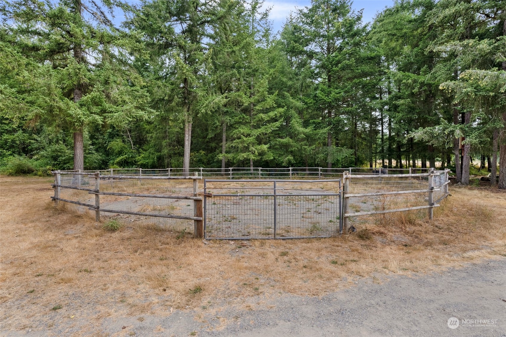 13434 Marcon Lane Southwest Rochester, WA 98579 - Photo 29 of 38 a view of backyard space
