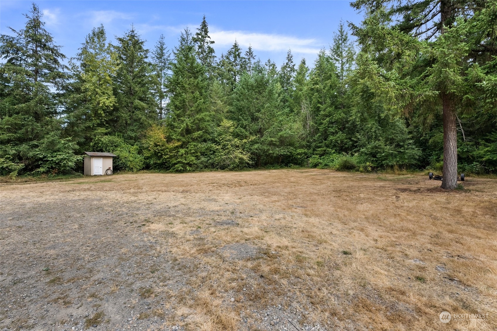 13434 Marcon Lane Southwest Rochester, WA 98579 - Photo 30 of 38 a view of a field with trees in the background