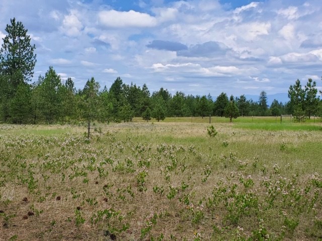 Xx East Laurel Road Elk, WA 99009 - Photo 1 of 3