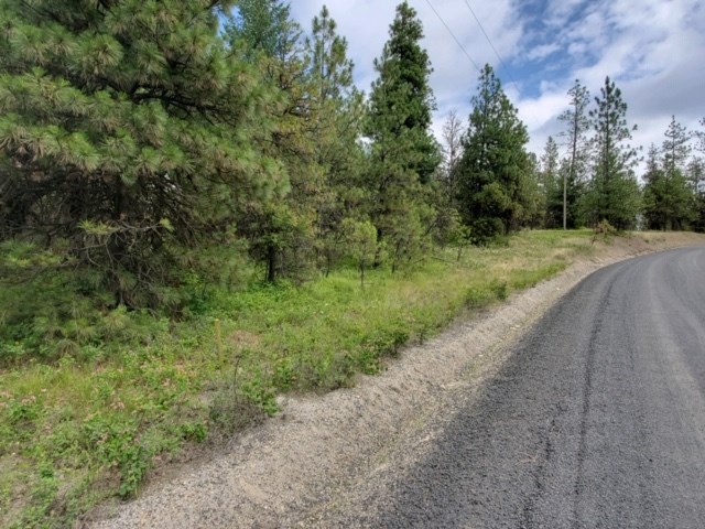 Xx East Laurel Road Elk, WA 99009 - Photo 3 of 3