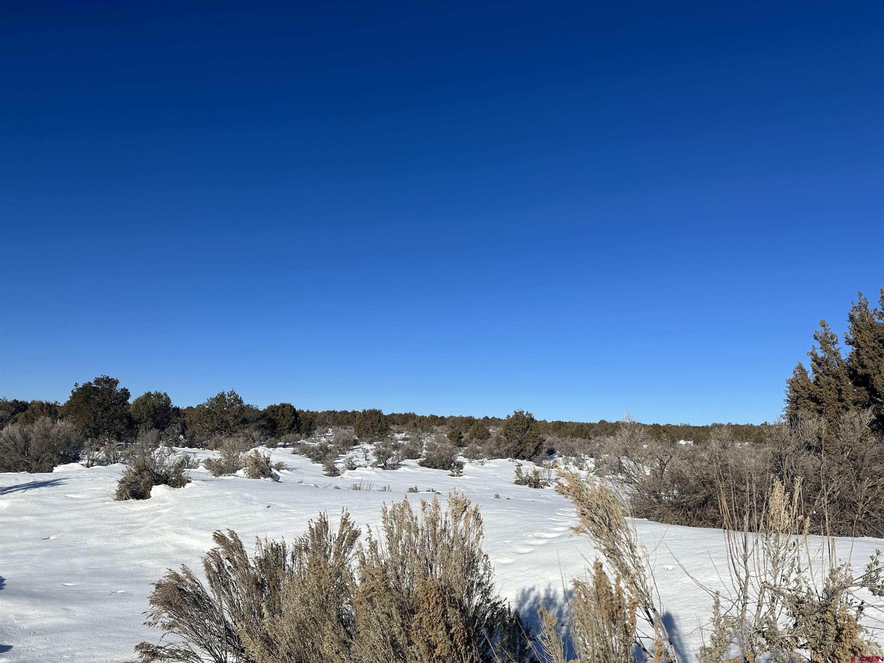 Tbd Rd K Cortez, CO 81321 - Photo 11 of 21
