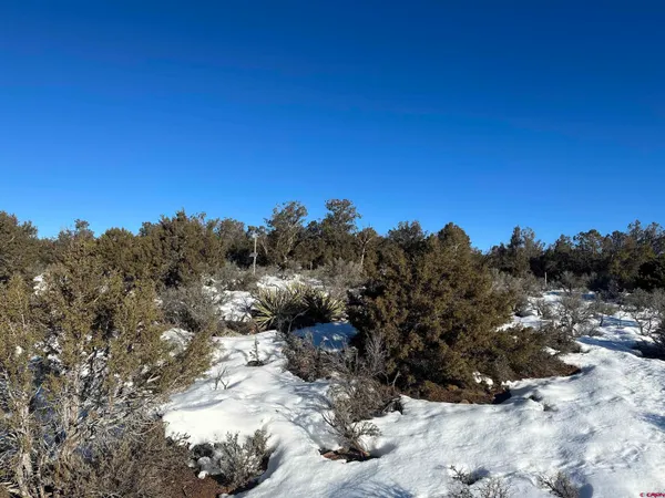 a view of a covered with trees in the background